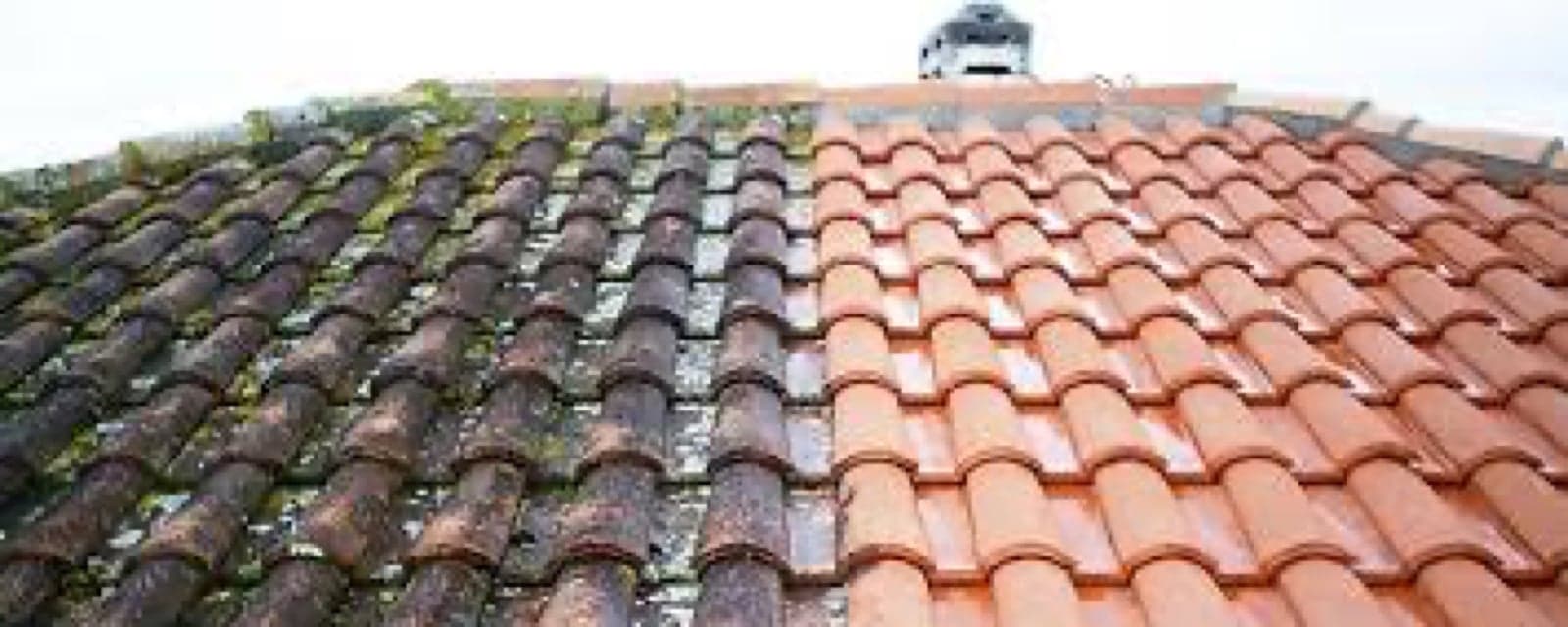 Roof Cleaning
