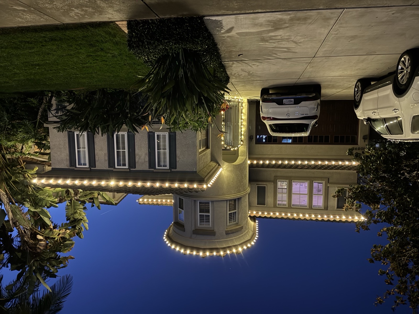 Permanent Lighting image